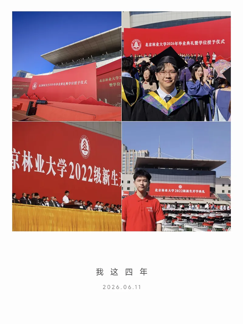出林入海